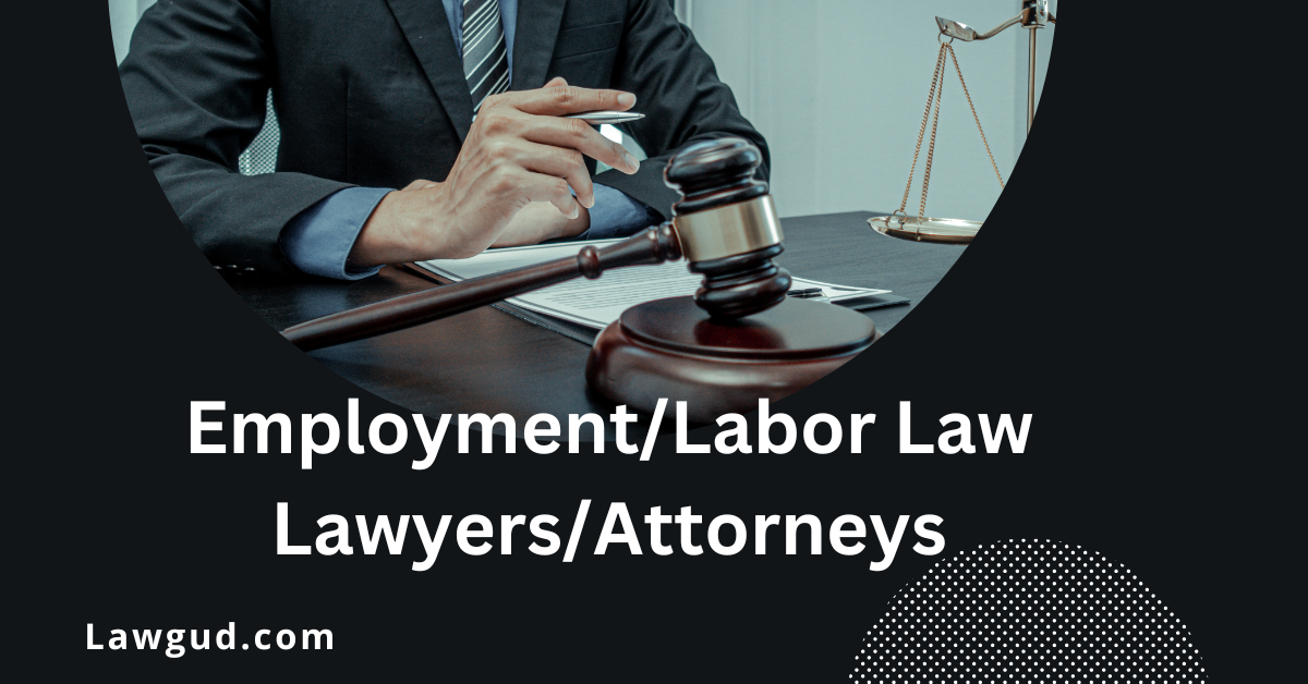 employment lawyer attorney