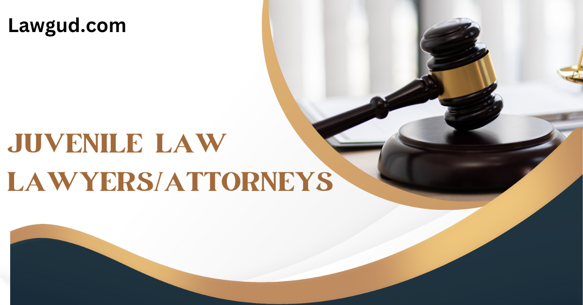 Juvenile Law Lawyers Attorneys