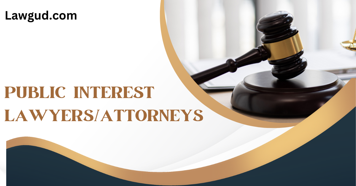 Public Interest Lawyers Attorneys